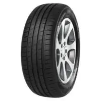 Minerva F209 205/60 R15 91H Ověřený