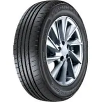 Akce Sunny NP226 195/55 R16 87V